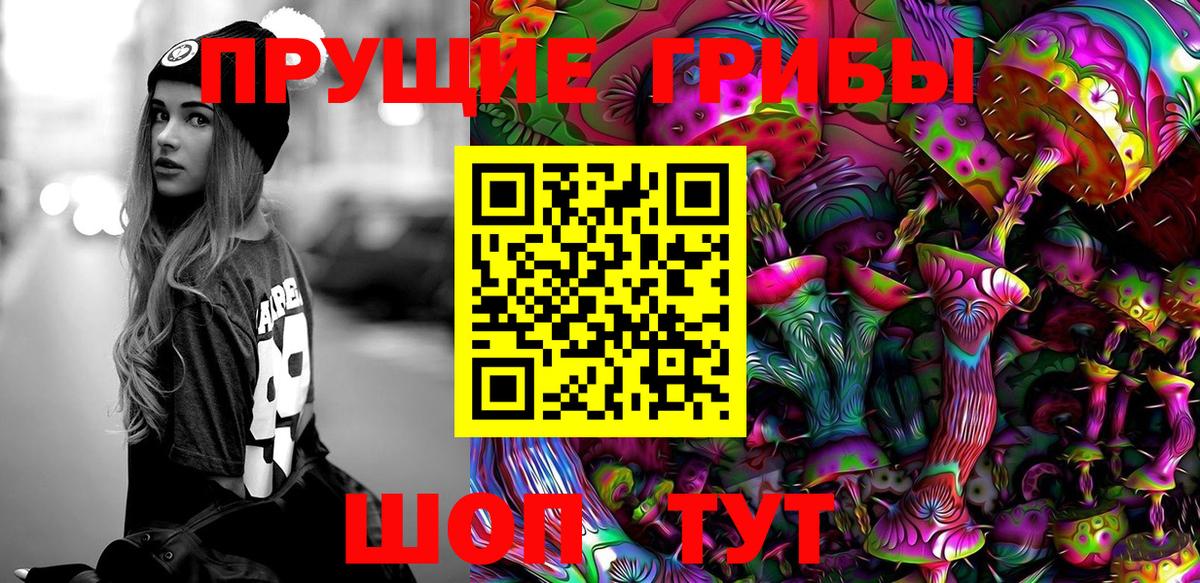 Галлюциногенные грибы мицелий Горно-Алтайск
