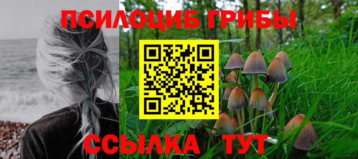 Горно-Алтайск  Галлюциногенные грибы ЛСД  Вход с VPN  Галлюциногенные грибы MAGIC MUSHROOMS 